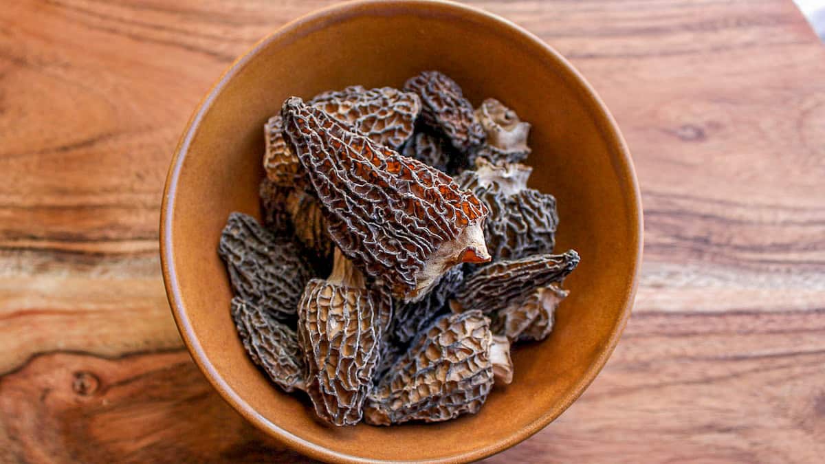 Air Drying or Dehydrating Morels?